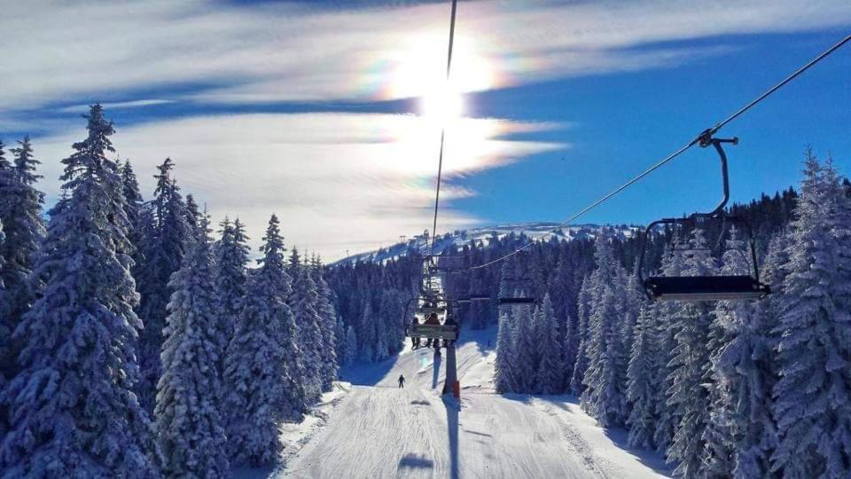 Milmari Resort Premier 46 Kopaonik Eksteriør billede